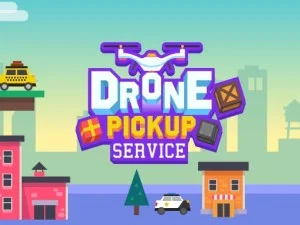 Drone Pickup Service